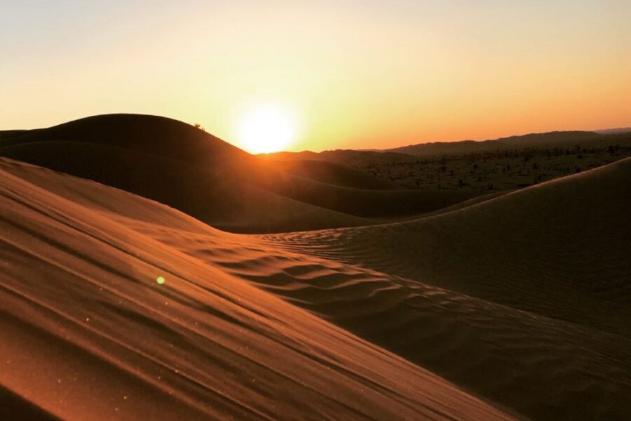 From Salalah: Explore the Empty Quarter Desert – Full-Day Guided Tour with Lunch