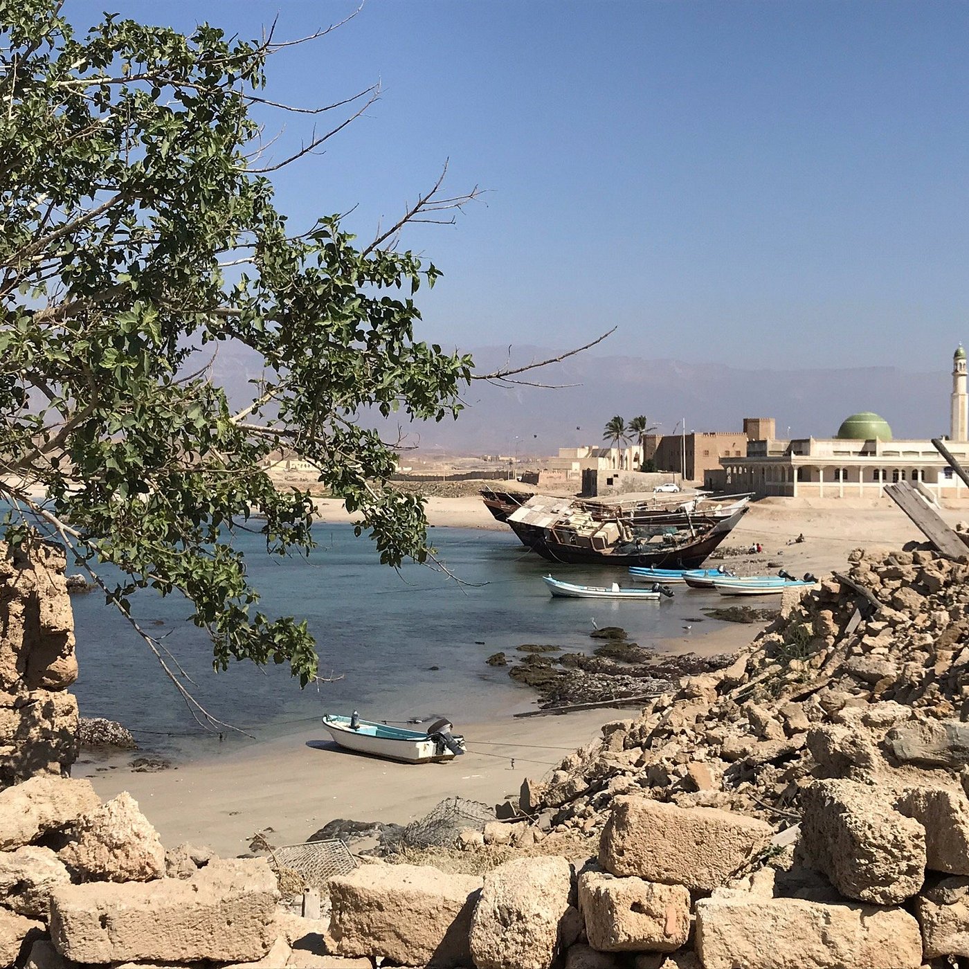 <span>02:00 PM </span>Visit Mirbat City & Harbor