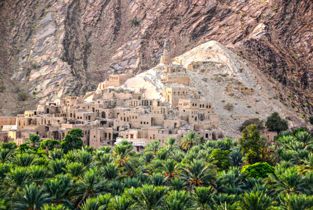 <span>13:30 PM </span>The day ends with a visit to Misfat Al Abryeen Village with Lunch