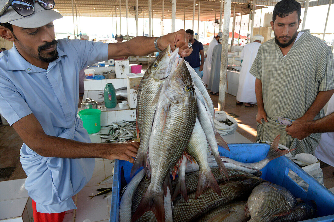 <span>10:30 AM </span>Barka Fish Market